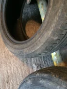 Accelera. ������, �/�, ����� 40�%