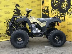 Motoland Adventure 250. ��������, ��� ���\���, ��� �������. ��� ����� �� ����������� ����