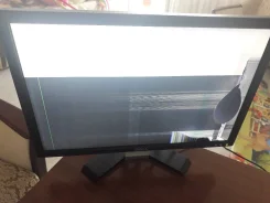 Dell. 20" ����