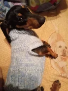 �����. ����