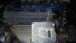 Двигатель в сборе. Toyota Harrier, SXU10, SXU10W Toyota Camry Gracia, SXV20, SXV20W Toyota Mark II Wagon Qualis, SXV20, SXV20W Двигатель 5SFE