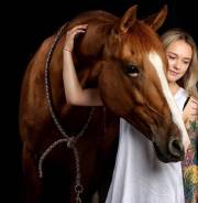 Прогулки на лошадях. Тренировки. Конные прогулки. Фотосессии. От 500р