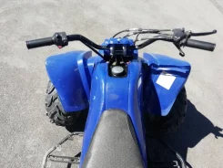 Xingyue FA-E110. ��������, ���� ���\���, � �������� ����