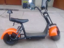 Seev Citycoco. 49����. ��., ��������, ��� ���, ��� ������� ����