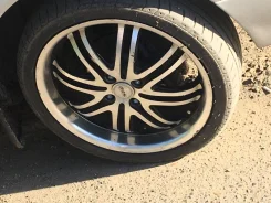 AITL. x17" ����