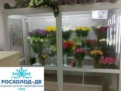 Холодильная камера для цветов (без! стеклопакетов) во Владивостоке Камеры морозильные.