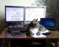 Модернизация тупых компьютеров и ноутбуков. переустановка windows. Акция длится до, 1 сентября