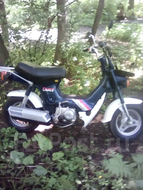 Honda Chaly. 49����. ��., ��������, ��� ���, ������ �� �� ����