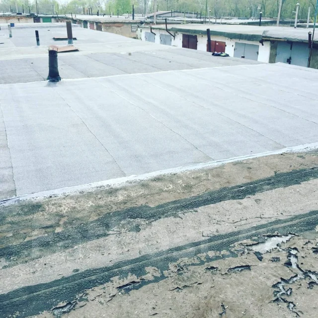 ������ ������. ����