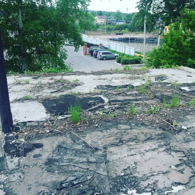 ������ ������. ����