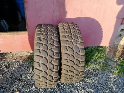 Interco. �����������, �/�, ����� 20 % ����