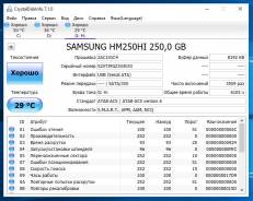 Жесткие диски. 250 Гб, интерфейс IDE