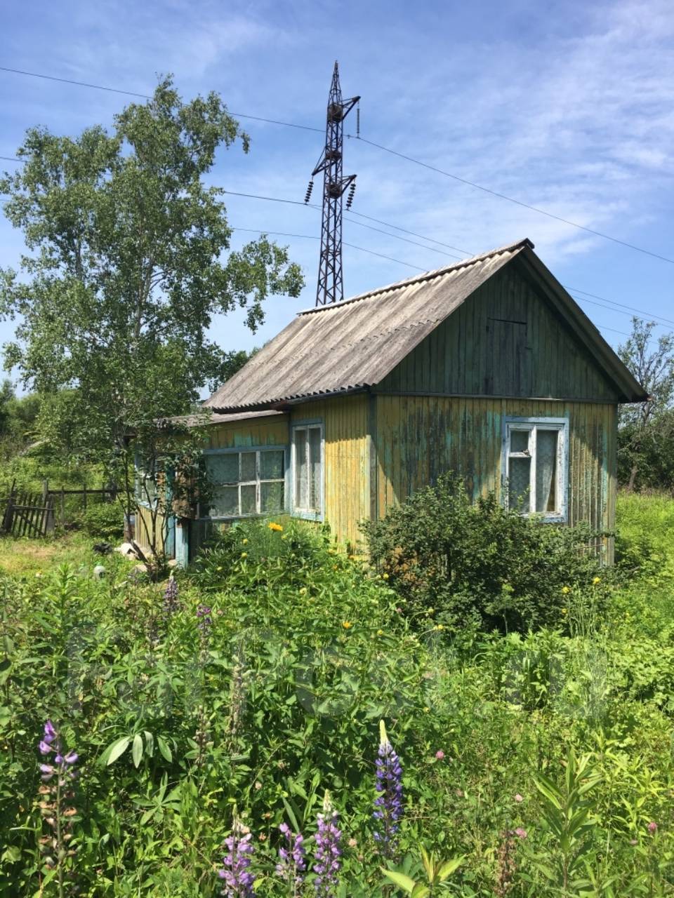 Погода сиреневка надеждинский