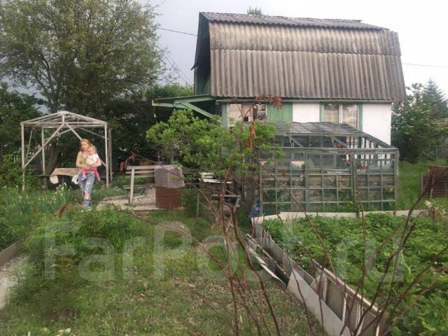 Фото Природы Дачи