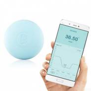 Термометр Xiaomi MiaoMiaoce! ApStore во Владивостоке