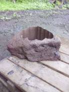 Цветники и клумбы.