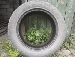 Goodyear Wrangler AT/R. �����������, 2009 ���, �/�, ����� 30�% ����