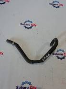 Шланг. Subaru: Forester, Legacy, Impreza, Exiga, Legacy B4 Двигатели: EJ204, EJ203, EJ20C, EJ20X, EJ253, EJ154, EJ25, EJ20, EZ30