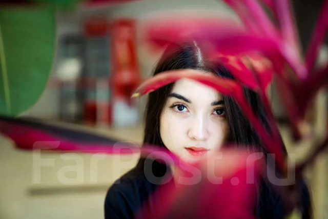 Nikon D3. 10 - 14.9 ��, ���: ��� ���� ����