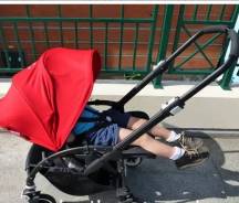 Пропала Коляска Bugaboo bee 3