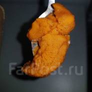 Морской еж. Под заказ