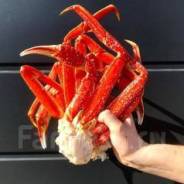 Куплю стригуна парного 5 кг. Срочно