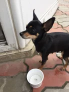 ������. ����