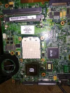 AMD ����