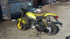 Suzuki Street Magic II. 49����. ��., ��������, ��� ���, ��� ������� ����