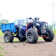 Yamaha Grizzly. ��������, ��� ���\���, ��� �������. ��� ����� �� ������������ ����
