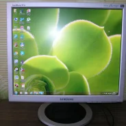 Samsung. 19", ���������� �� (LCD)