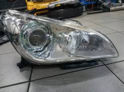 Фара. Nissan Fuga, HY51, KNY51, KY51, Y51