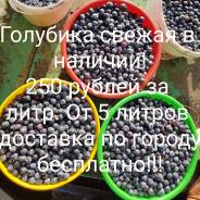 Голубика.
