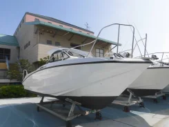 Yamaha YF-24. 2016 ���, ����� 7,32��., ��������� ���������, 115��.�., ������. ��� ����� �� ������������ ����
