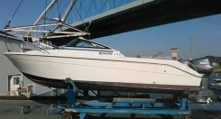 Yamaha FR-21. 1994 ���, ����� 6,4��., ��������� ���������, 140��.�., ������. ��� ����� �� ������������ ����