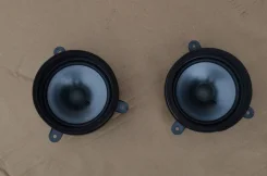 Fostex ����