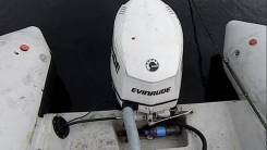 Evinrude. 115,00 л.с., 2-тактный, бензиновый, нога L (508 мм), 2007 год год