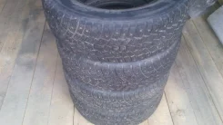Audi S5 ����