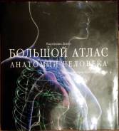 Анатомия.