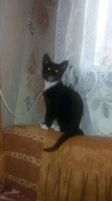 �����.