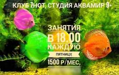 Студия Аквамир 9+