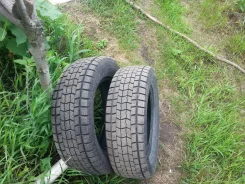 Autogreen. ������, ��� �����, 2017 ���, �/�, ����� 5�%