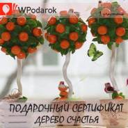 Подарочный сертификат. Мастер-класс по созданию топиария.