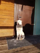 ������.
