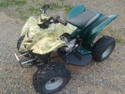 Xingyue FA-E110. ��������, ���� ���\���, � �������� ����