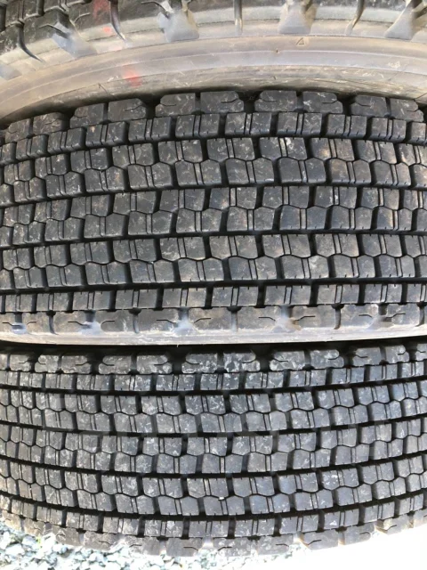 Bridgestone W901 Ecopia. ������, ��� �����, 2016 ���, �/�, ����� 5 % ����