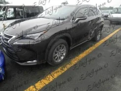 Lexus NX200. AGZ10, DBAAGZ10 ����