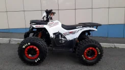 Motoland Wild 125. ��������, ���� ���\���, ��� ������� ����