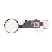 Кнопка Home (золотая) Apple iPhone 7