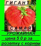 Клубника.